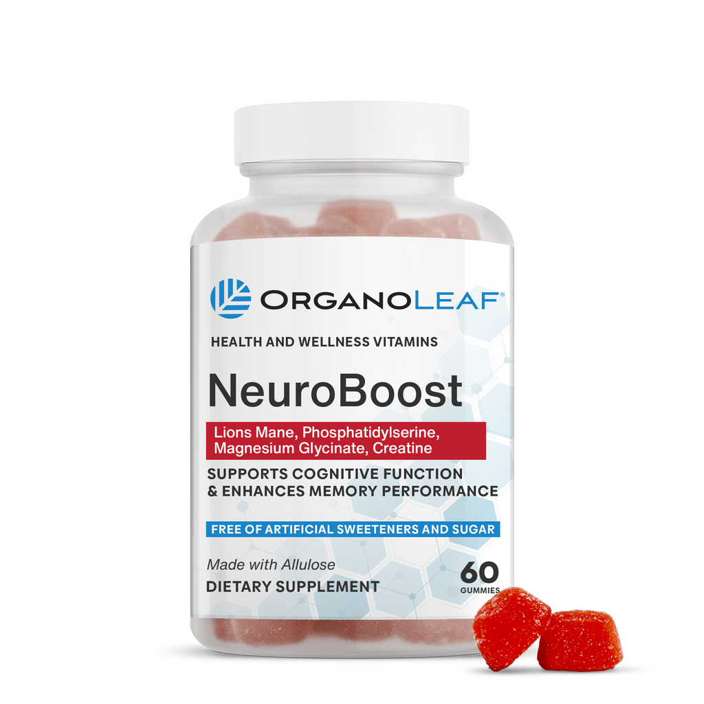NeuroBoost : Lions Main, Phosphatidylserine, Magnesium L-threonate, Creatine